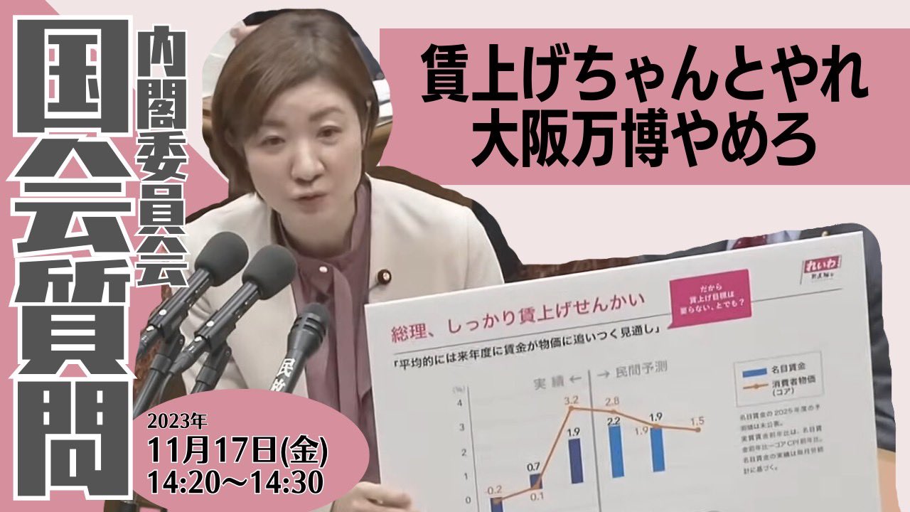 大石あきこの国会質問！